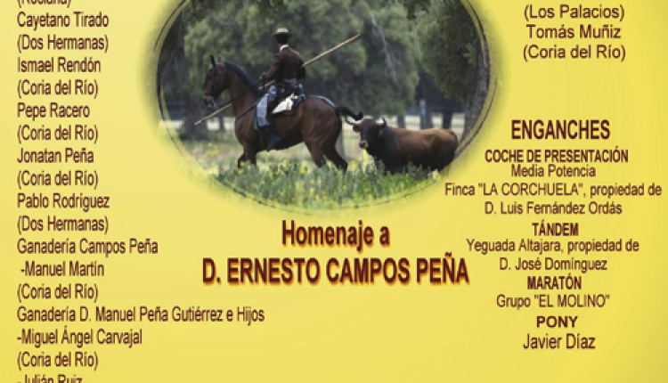 Hermandad de Coria – XV Exhibición Ecuestre
