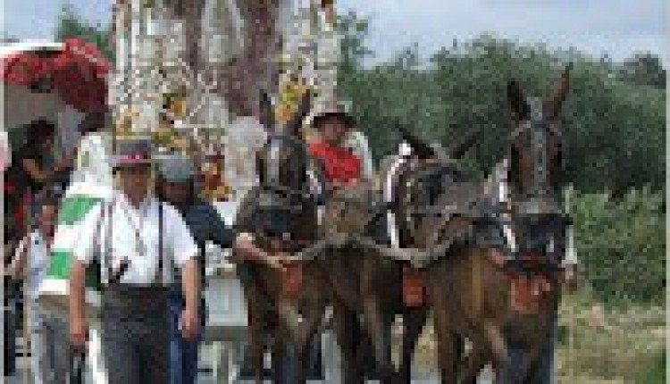 Hermandad de Las Cabezas – Pregón Rociero