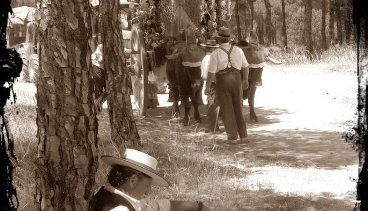 La Junta de Gobierno de la Hermandad del Rocio de Palma de Mallorca informa de las siguientes novedades: