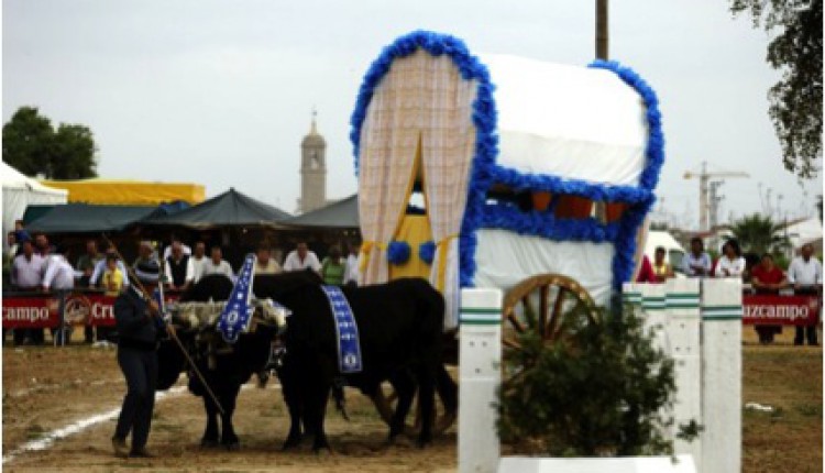 Hermandad de Villamanrique – CARAVANA SOLIDARIA DE LA PRIMERA Y MÁS ANTIGUA HERMANDAD DEL ROCÍO