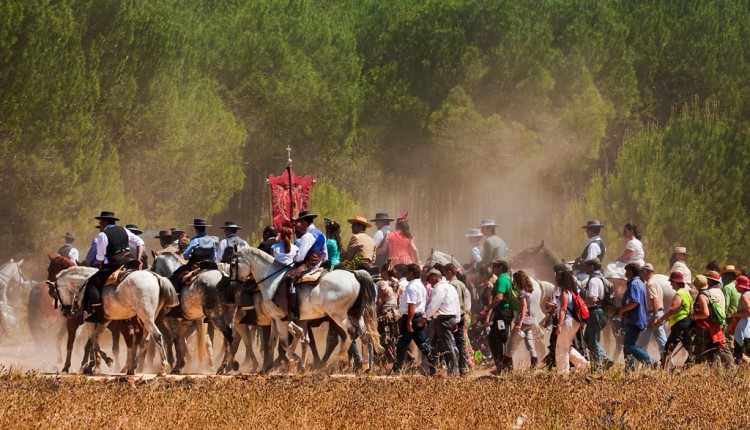 Hermandad Matriz – Peregrinación del Grupo Joven al Rocío
