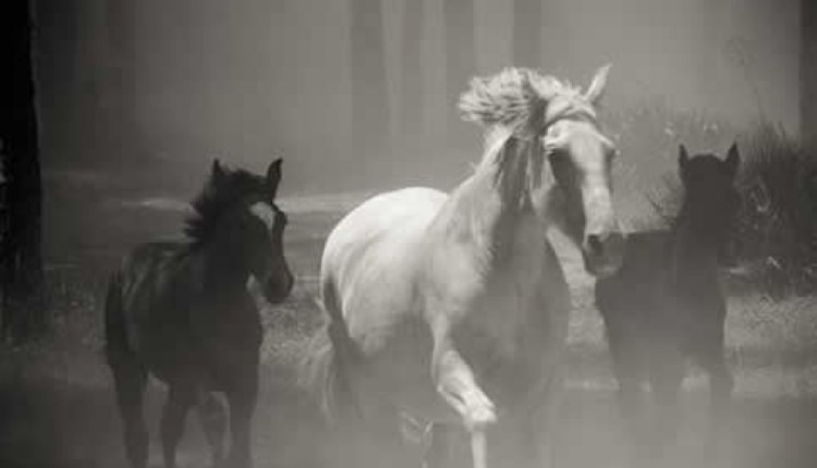 Y al Oeste, la Saca de las Yeguas