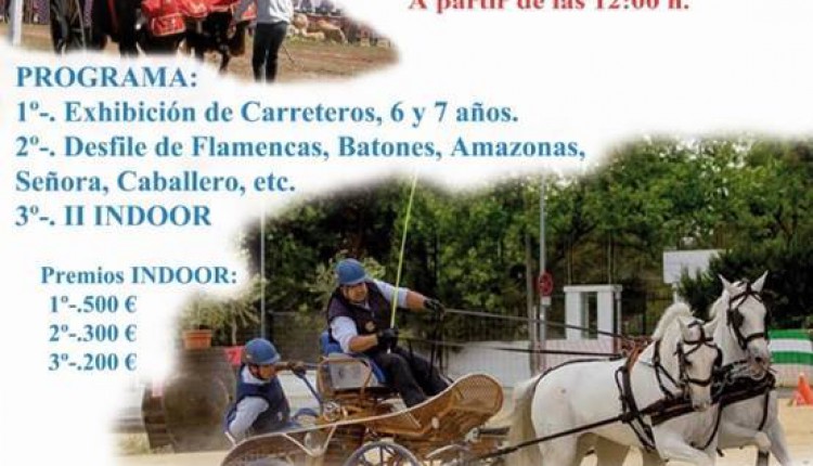 Hermandad de Villanueva del Ariscal – III INDOOR