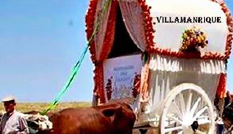 Hermandad de Villamanrique – III Carreta Solidaria