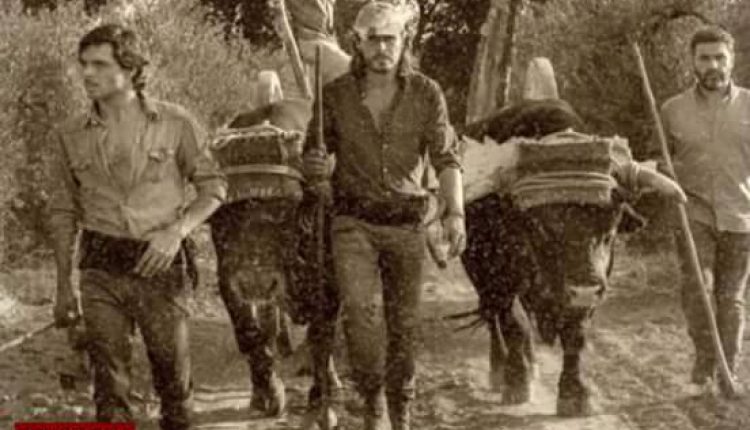 Hermandad de Coria del Río – PALABRA DE CARRETERO