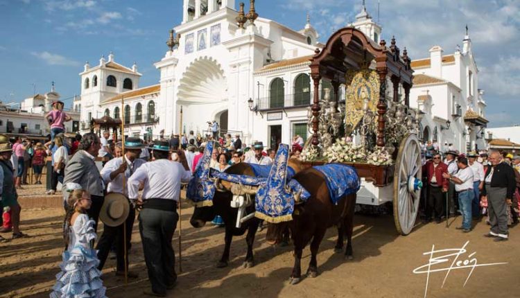 Peregrinaciones Extraordinarias de las Hermandades del Rocío del sábado 7 y domingo 8 de marzo de 2026 – Misas en Directo