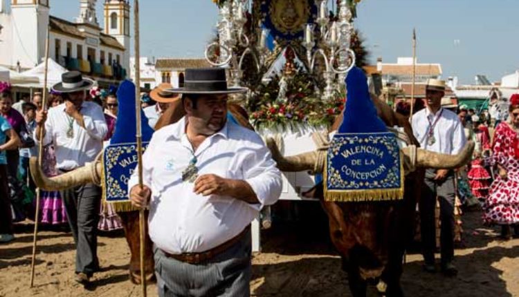 Peregrinaciones Extraordinarias de las Hermandades del Rocío del domingo 14 de diciembre 2025 – Misas en Directo