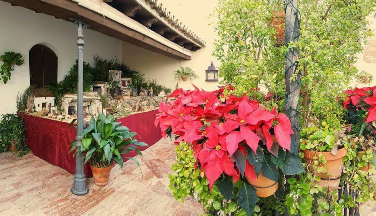 Bendición del Nacimiento en la Casa Hermandad de la Matriz